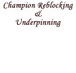 Champion Reblocking  Underpinning - Builder Search