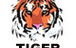 Tiger Building Repairs - thumb 0