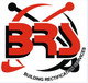 BRS Gold Coast Window Replacement  Handrails - Builder Search